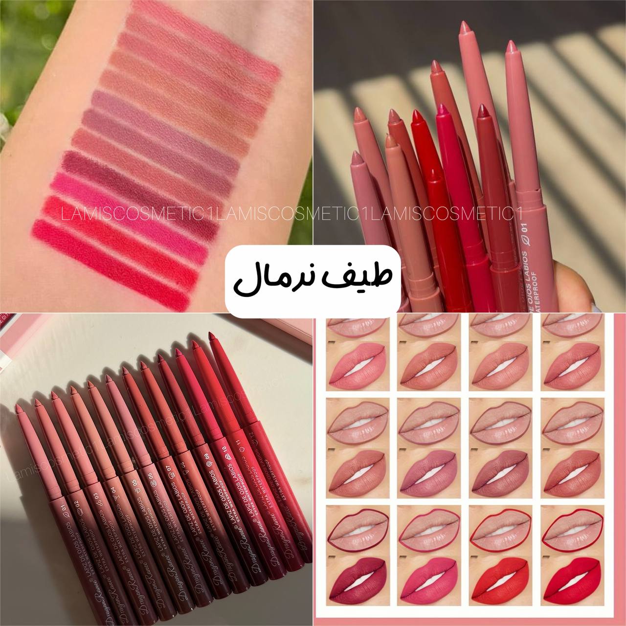 پک 12 عددی خط لب Dragon Ranee