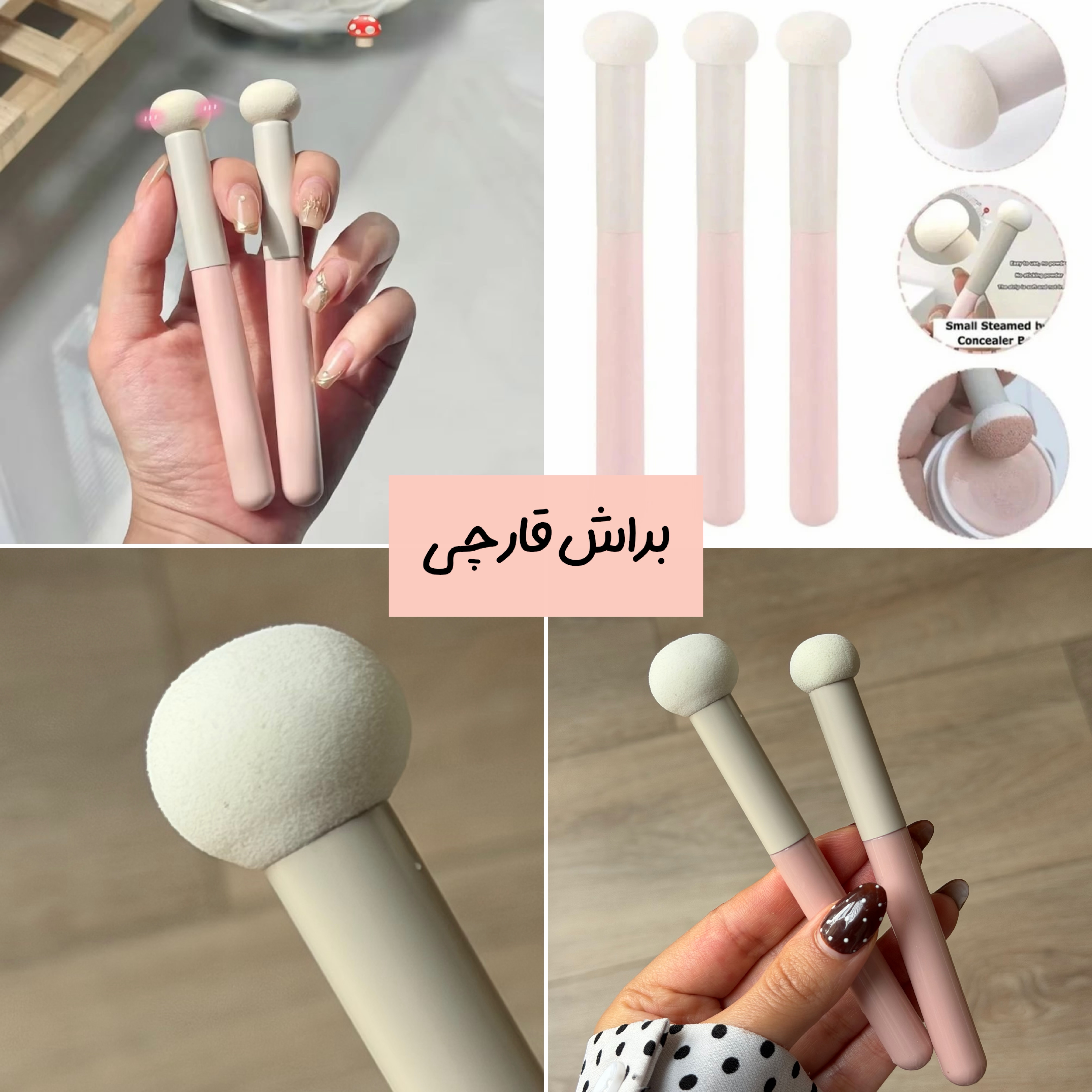 براشای کاربردی اقتصادی