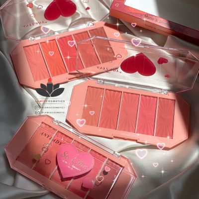 پلت رژگونه Anylady