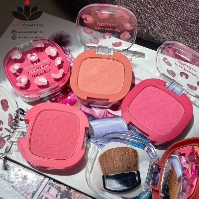 رژگونه دوطبقه کیس بیوتی