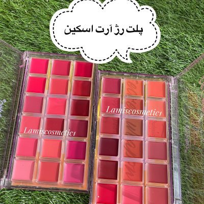 پلت رژ آرت اسکین